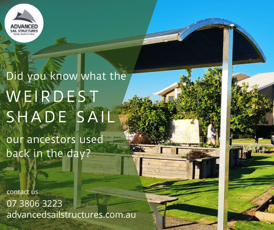 Did you know what the weirdest shade sail our ancestors used back in the day was? | Advanced Sail Structures Gold Coast